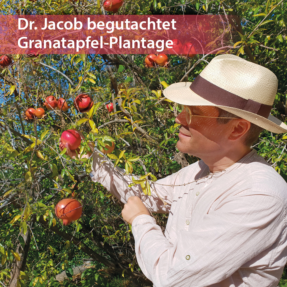 Dr. Jacob's Granatapfel-Elixier mediterran 500 ml