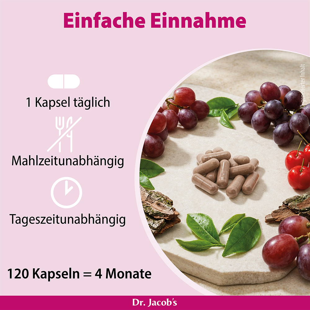 Infografik mit einfachen Anweisungen zur Einnahme von Dr. Jacobs Produkt, mit Kapseln auf einer Steinoberfläche, umgeben von Weintrauben und Blättern. Der Text hebt die tägliche Einnahme einer Kapsel, unabhängig von den Essenszeiten, und insgesamt 12