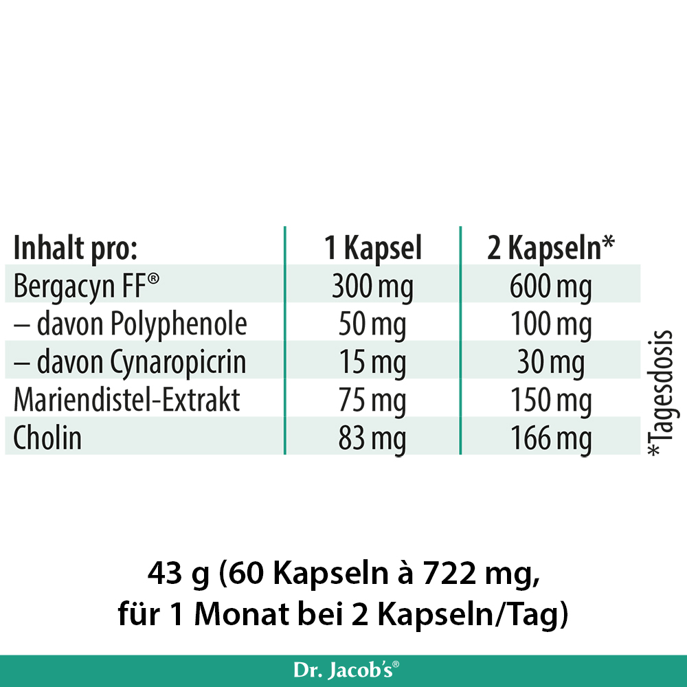 Detailaufnahme der Inhaltsstoffe pro Kapsel für Dr. Jacob’s Bergacyn FF® mit Angaben zu Polyphenolen, Cynaropicrin, Mariendistel-Extrakt und Cholin.