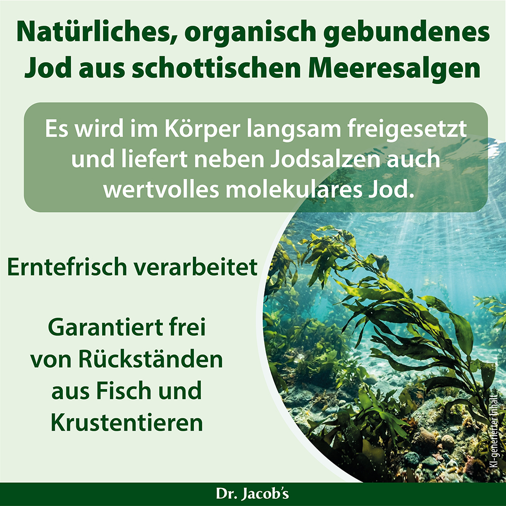 Infografik über natürliches, organisch gebundenes Jod aus schottischen Algen, das seine langsame Freisetzung im Körper und seinen wertvollen molekularen Jodgehalt hervorhebt, frei von Fisch- und Krustentierrückständen.