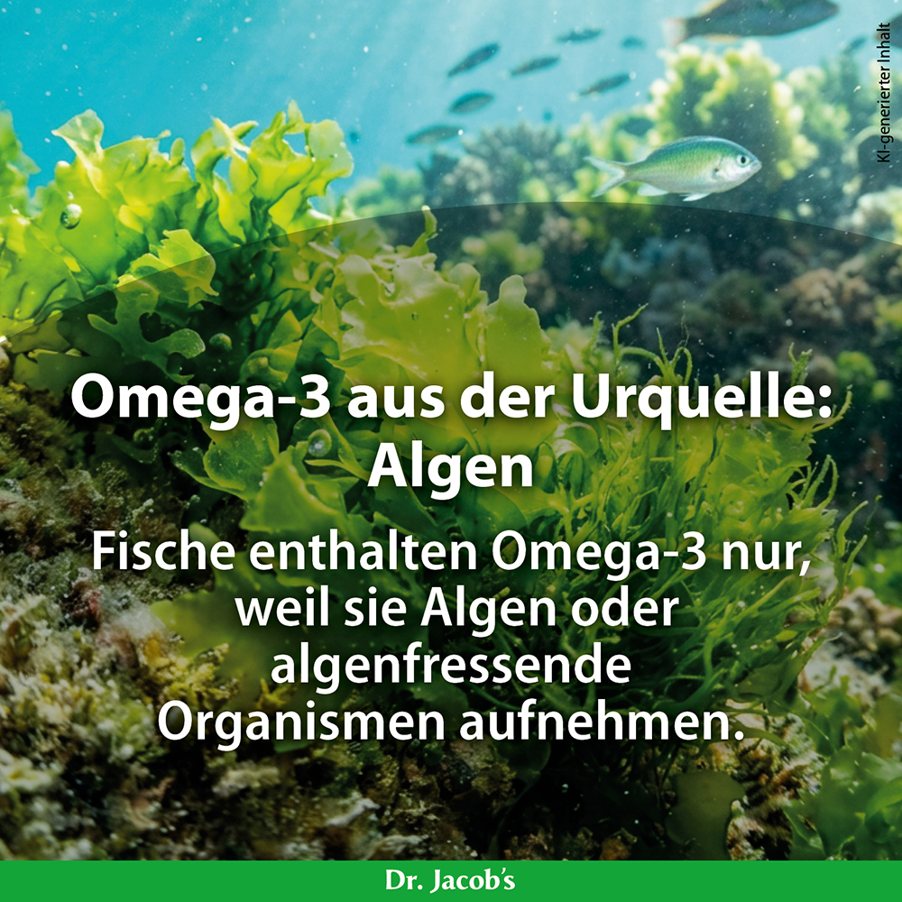 Unterwasserszene mit grünen Algen und einem kleinen Fisch, der in der Nähe schwimmt. In der Textüberlagerung wird Omega-3 aus Algen als Quelle für Fische erörtert, wobei der Schwerpunkt auf der Aufnahme von Algen oder algenfressenden Organismen über 