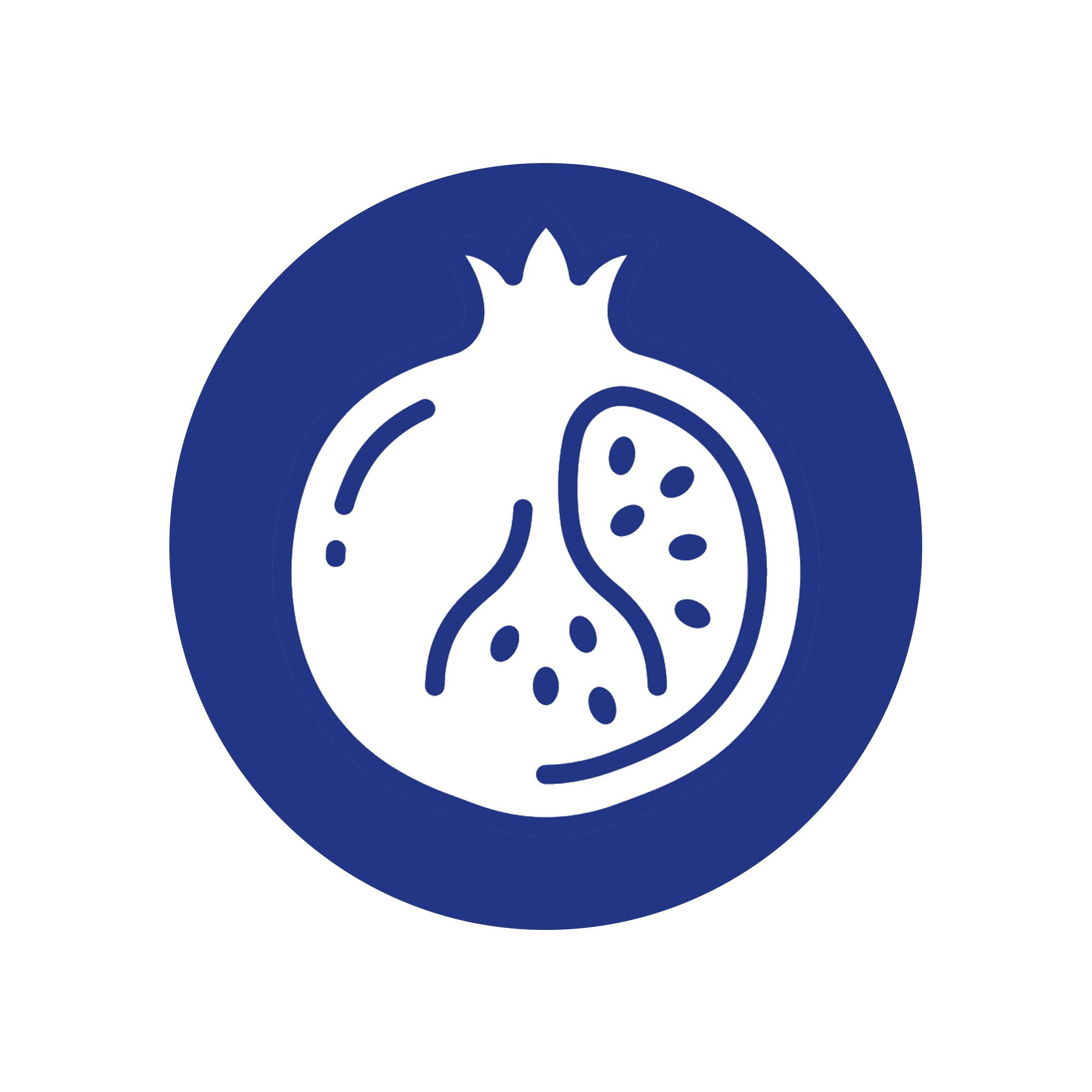 Granatapfel