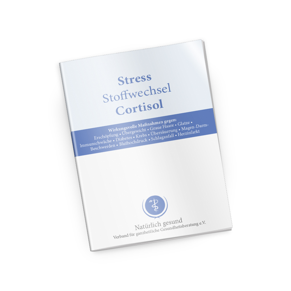 Ratgeber Stress Stoffwechsel Cortisol