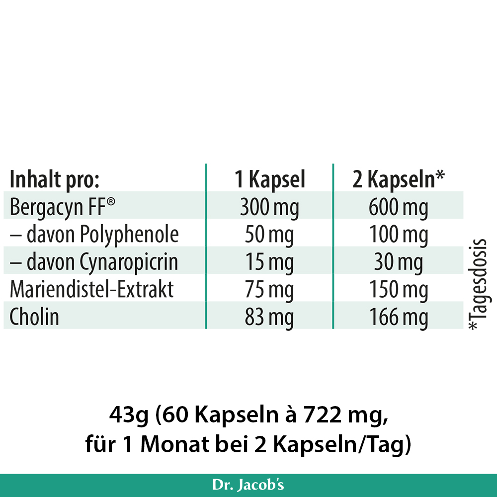 Detailaufnahme der Inhaltsstoffe von Dr. Jacob’s Bergacyn FF® Kapseln, einschließlich Mengenangaben für 1 und 2 Kapseln, mit Mariendistel-Extrakt und Cholin.