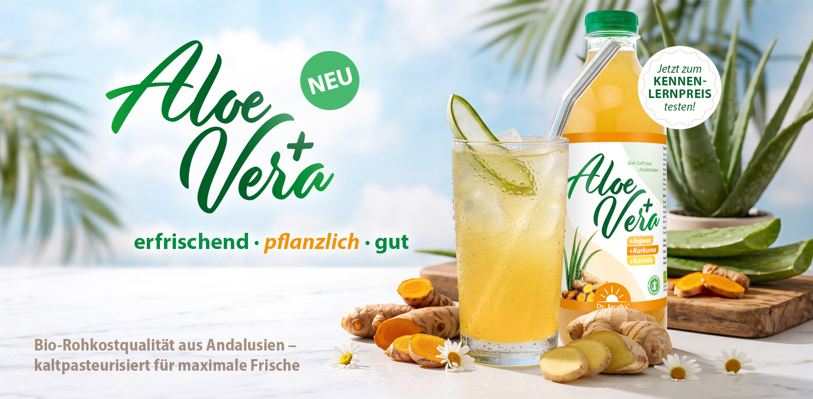 Dr. Jacob’s Aloe Vera+ Gelsaft aus Andalusien in einer Glasflasche, serviert im Glas mit Eis, Ingwer, Kurkumawurzel und Kamillenblüten auf einem Holzbrett, präsentiert natürliche Inhaltsstoffe und pflanzliche Erfrischung.